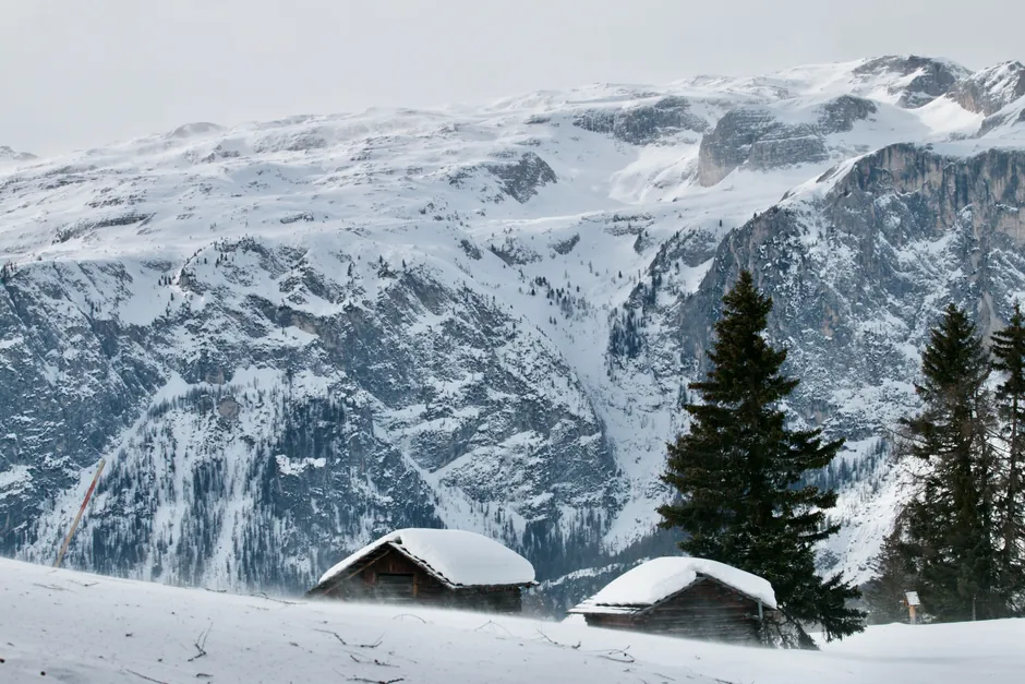 The Larch Chalet