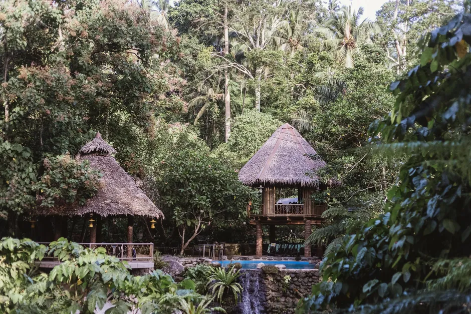 The Rainforest House