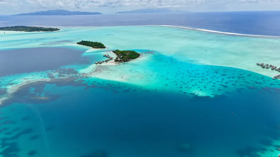 The Overwater Suite
