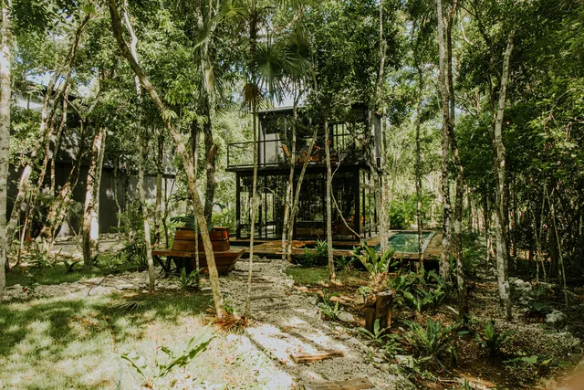Selva — 2